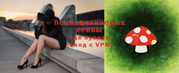 гашик Верхнеуральск
