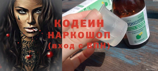 ПСИЛОЦИБИНОВЫЕ ГРИБЫ Верхний Тагил